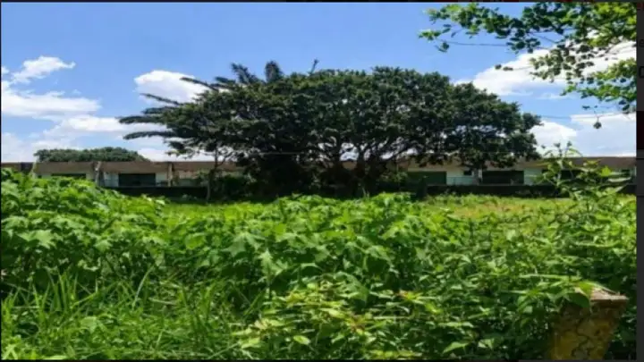 Terreno em leilão em Paudalho