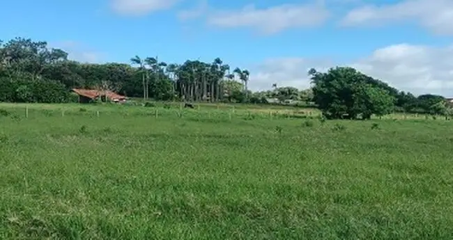 terreno em leilão em Astorga