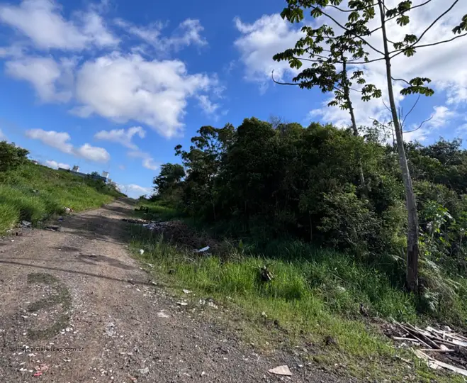 Terreno em leilão em Criciúma
