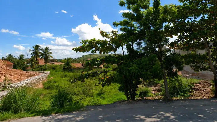 Terreno em leilão em São José da Coroa Grande