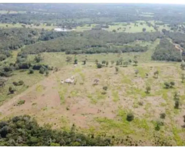 Lote 21 - Araguaçu - TO - zona rural - Fazenda