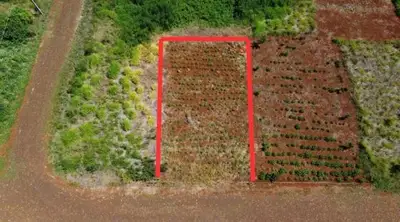 TERRENO URBANO SEM BENFEITORIAS COM ÁREA DE 240,00m2 - SÃO JORGE DO OESTE/PR LOTE URBANO SÃO JORGE DO OESTE/P