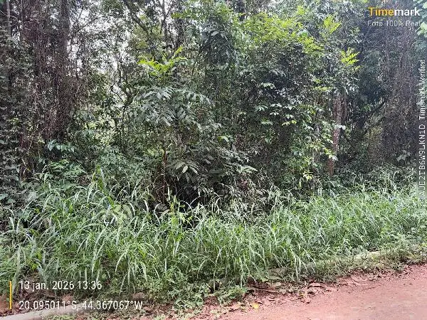 Terreno em leilão em Igarapé