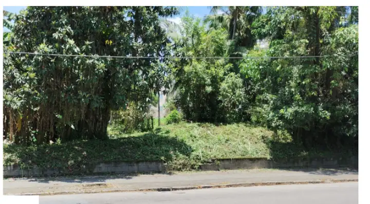 TERRENO DE 21.658,87M² LOCALIZADO NA RUA MARECHAL FLORIANO PEIXOTO NO BAIRRO PADRE MARINHO STEIN EM TIMBÓ/SC