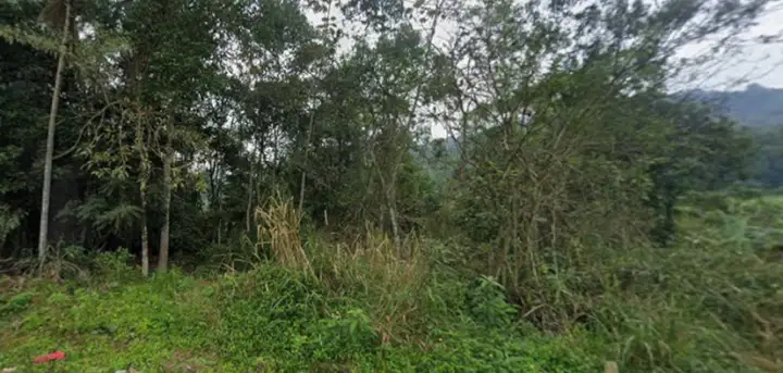 Terreno em leilão em Brusque