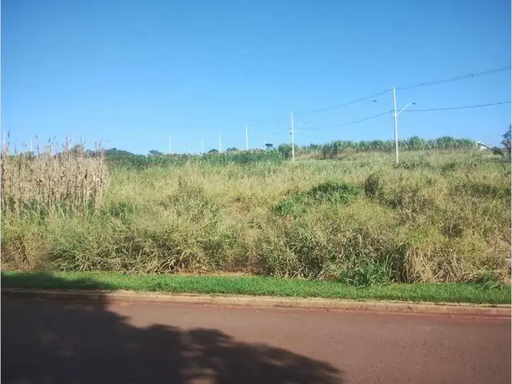 Terreno - Cafelândia - PR
