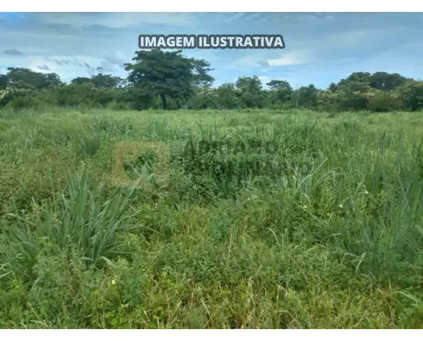 Fazenda Mucambo 159,76 hectares
