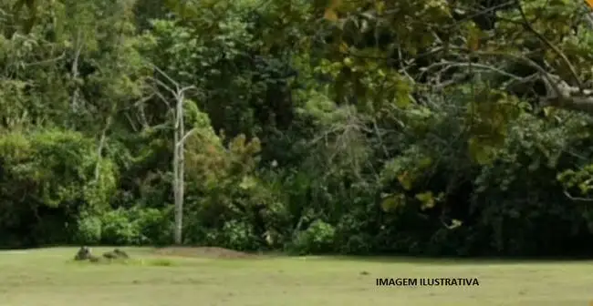 Terreno em leilão em Teresópolis