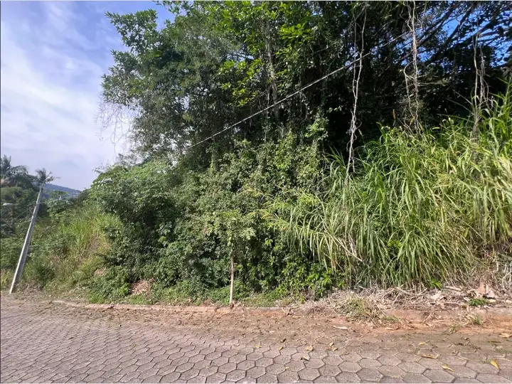 Terreno em leilão em Blumenau