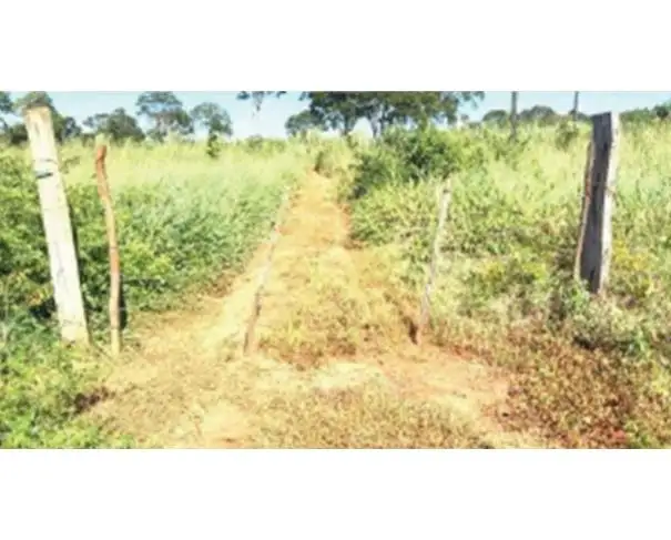 Lote 23 - Estreito - MA - zona rural - Fazenda