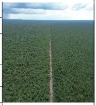 Imóvel rural em leilão em BREJO DO PIAUI